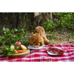 Menú Barf de Ternera - Imagen 2