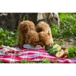 Menú Barf de Cordero - Imagen 6