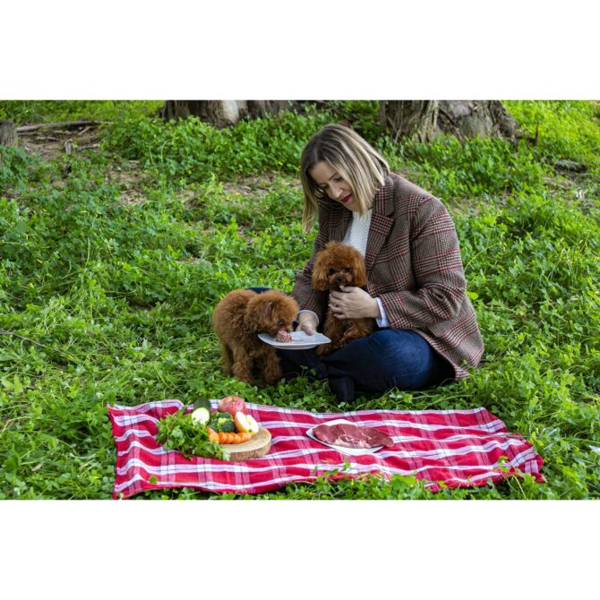 Menú Barf de Pollo - Imagen 2