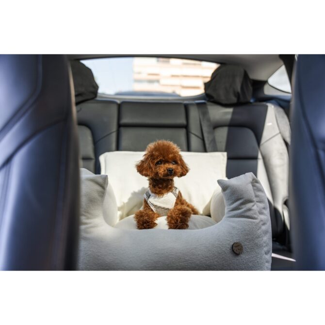 Sillón Coche Homologado White de Salvaterra de Magos cerca Sillón Coche Homologado White de Salvaterra de Magos - Imagen 8
