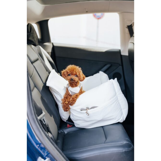 Sillón Coche Homologado White de Salvaterra de Magos lado Sillón Coche Homologado White de Salvaterra de Magos - Imagen 7