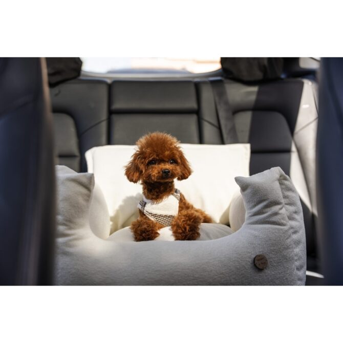 Sillón Coche Homologado White de Salvaterra de Magos lejos Sillón Coche Homologado White de Salvaterra de Magos - Imagen 6