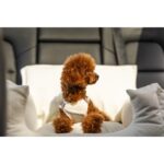 Sillón Coche Homologado White de Salvaterra de Magos - Imagen 5