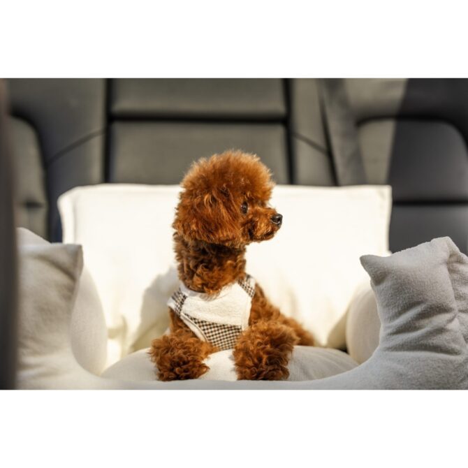 Sillón Coche Homologado White de Salvaterra de Magos. Sillón Coche Homologado White de Salvaterra de Magos - Imagen 5