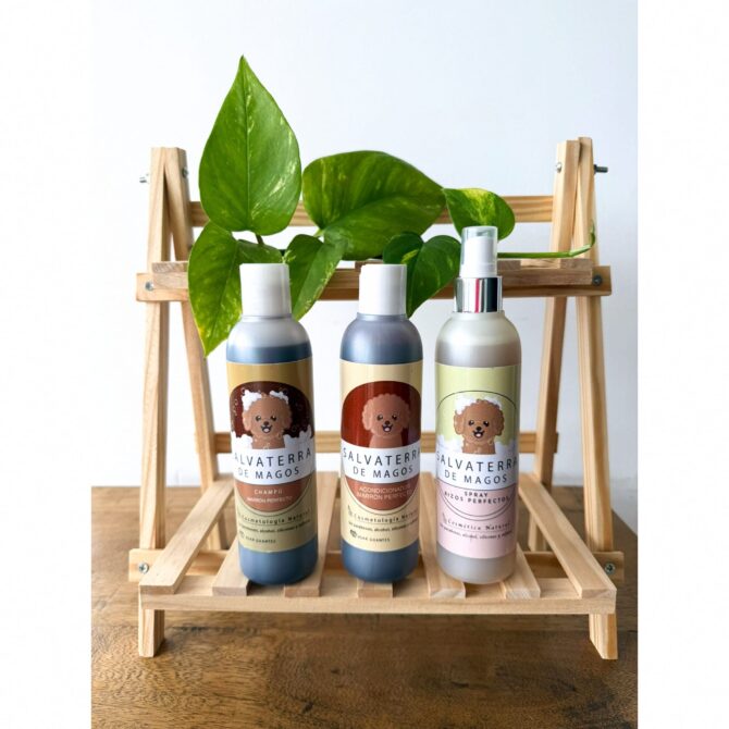 Tratamiento con Pigmentos para Caniche Marron - Chocolate - Imagen 2