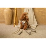 Conjunto Salvaterra de Arnes y Correa Ayzen Marron - Imagen 2