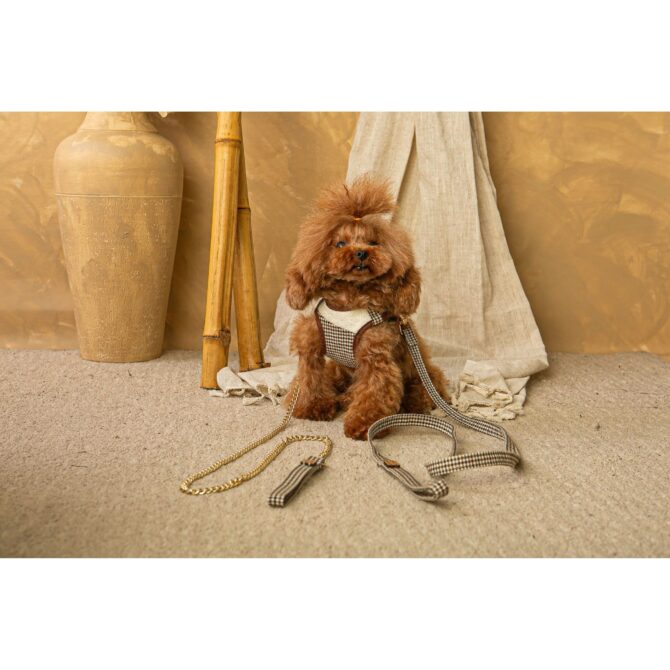 arnes ayzen ambas correas de salvaterra de magos Conjunto Salvaterra de Arnes y Correa Ayzen Marron - Imagen 2