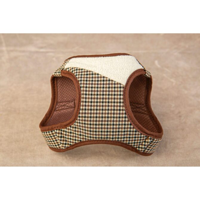 arnes ayzen marron delantera de salvaterra de magos Conjunto Salvaterra de Arnes y Correa Ayzen Marron - Imagen 6