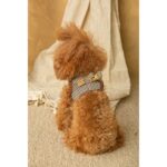 Conjunto Salvaterra de Arnes y Correa Ayzen Marron - Imagen 7