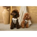 Conjunto Salvaterra de Arnes y Correa Ayzen Marron - Imagen 4