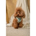 Conjunto Salvaterra de Arnes y Correa Selva - Imagen 3