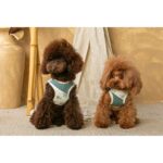 Conjunto Salvaterra de Arnes y Correa Bosque - Imagen 3