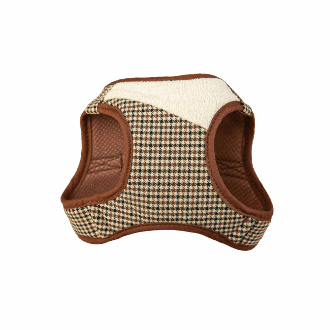 Arnes y Correa Ayzen Marron Arnes y Correa Ayzen Marron