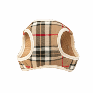 Arnes y Correa Burberry Beige