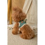 Conjunto Salvaterra de Arnes y Correa Bosque - Imagen 7