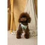 Conjunto Salvaterra de Arnes y Correa Bosque - Imagen 2