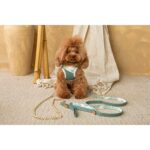 Conjunto Salvaterra de Arnes y Correa Bosque - Imagen 8