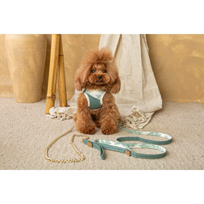 Conjunto Salvaterra de Arnes y Correa Bosque - Imagen 8