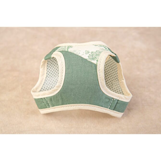 Conjunto Salvaterra de Arnes y Correa Bosque - Imagen 9