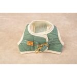 Conjunto Salvaterra de Arnes y Correa Bosque - Imagen 10