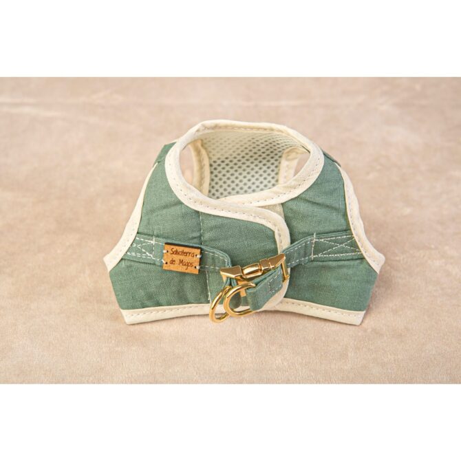 Conjunto Salvaterra de Arnes y Correa Bosque - Imagen 10