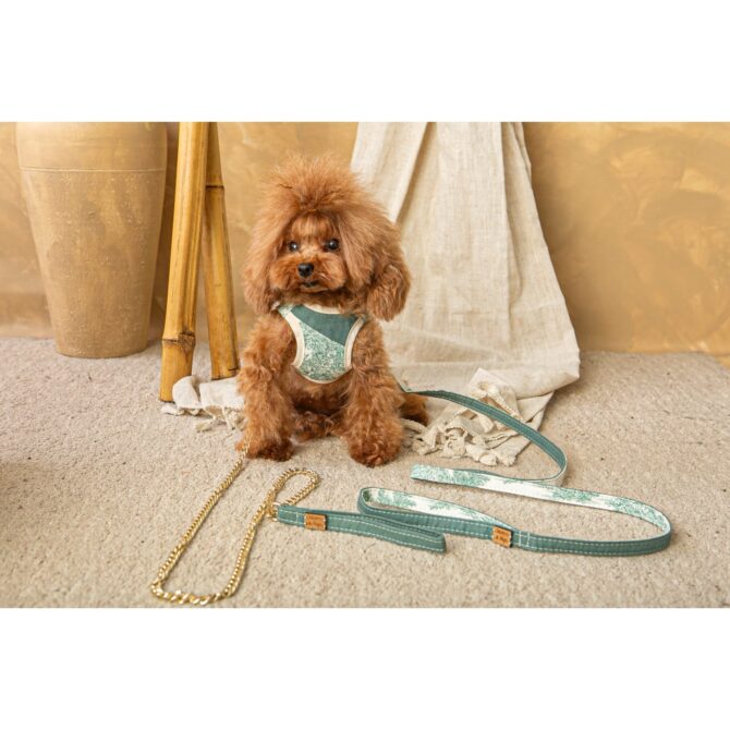 Conjunto Salvaterra de Arnes y Correa Selva - Imagen 4