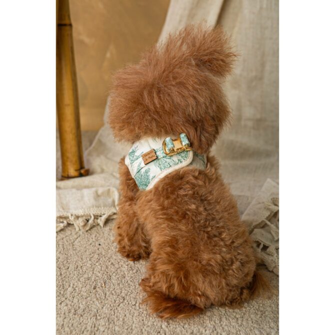 Conjunto Salvaterra de Arnes y Correa Selva - Imagen 7