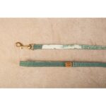 Conjunto Salvaterra de Arnes y Correa Bosque - Imagen 6