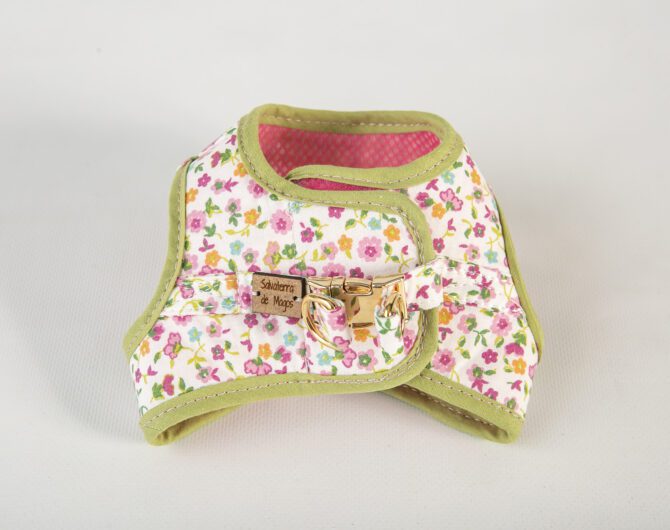 Conjunto Tobii de Salvaterra de Magos - Imagen 4