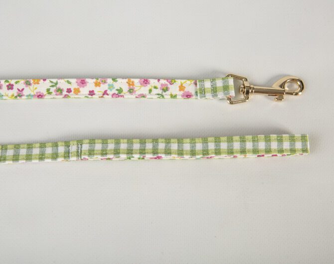 Conjunto Tobii de Salvaterra de Magos - Imagen 5