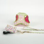 Conjunto Tobii de Salvaterra de Magos - Imagen 2