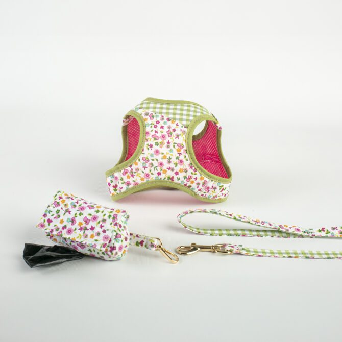 Conjunto Tobii de Salvaterra de Magos - Imagen 2