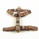 Conjunto Clasico Burberry de Arnes y correa de Salvaterra de Magos