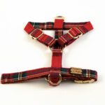 Conjunto Clasico Escoces Rojo de Arnes y correa de Salvaterra de Magos