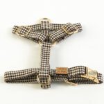 Conjunto Clasico Ayzen de Arnes y correa de Salvaterra de Magos