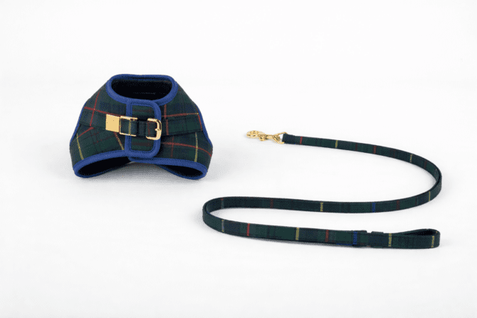 Conjunto Salvaterra de Arnes y Correa Escoces Azul - Imagen 11