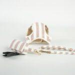 Conjunto Salvaterra de Arnes y Correa Orvane Rosa - Imagen 3