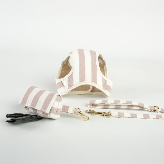 Conjunto Salvaterra de Arnes y Correa Orvane Rosa - Imagen 3