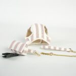 Conjunto Salvaterra de Arnes y Correa Orvane Rosa - Imagen 4