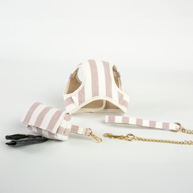 Conjunto Salvaterra de Arnes y Correa Orvane Rosa - Imagen 4