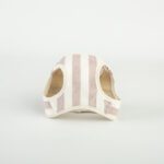 Conjunto Salvaterra de Arnes y Correa Orvane Rosa