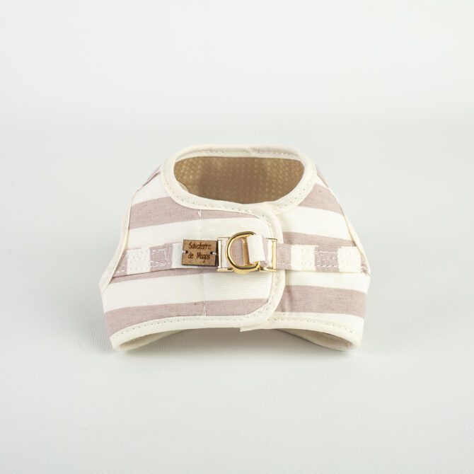 Conjunto Salvaterra de Arnes y Correa Orvane Rosa - Imagen 5