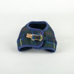 Conjunto Salvaterra de Arnes y Correa Escoces Azul - Imagen 5