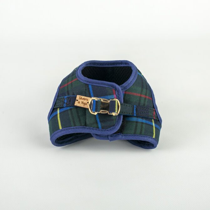 Conjunto Salvaterra de Arnes y Correa Escoces Azul - Imagen 5