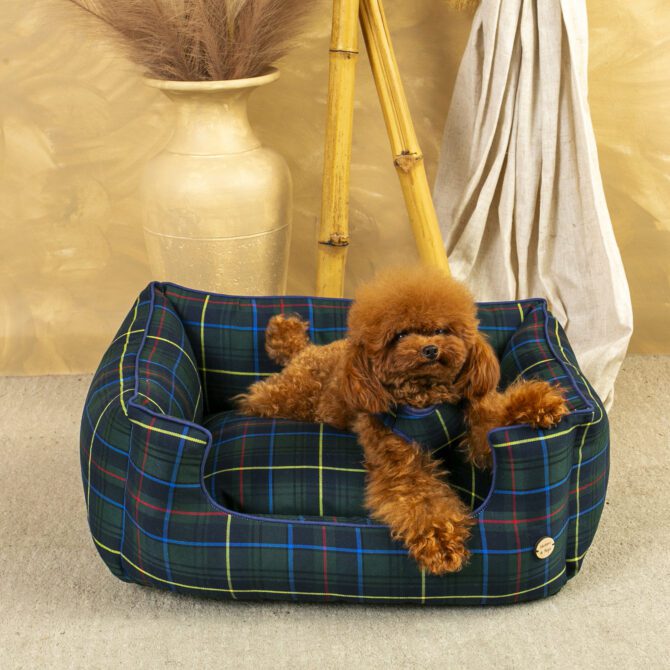 Cama Salvaterra Desenfundable Escoces Azul - Imagen 3