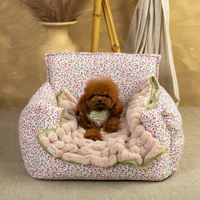 Sillón Salvaterra Tobii Homologado Para El Coche - Imagen 3