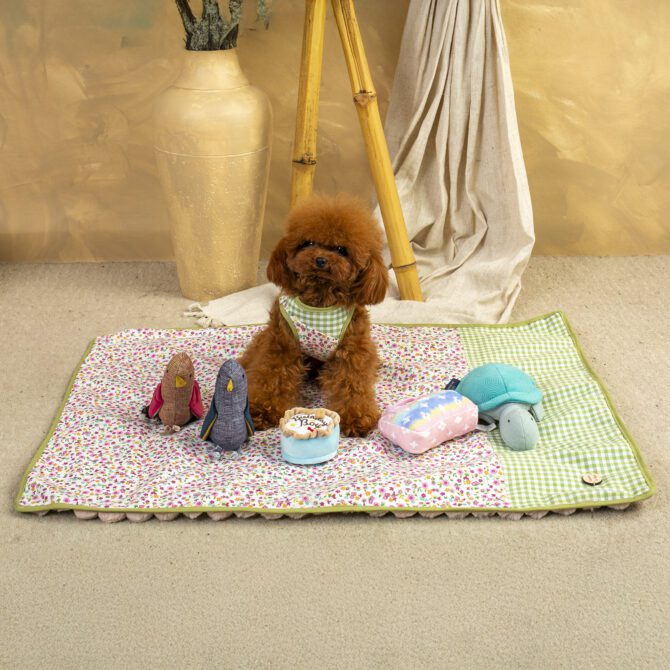 Mantita impermeable multiuso Tobii de Salvaterra de Magos - Imagen 2