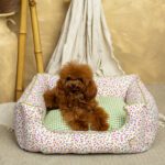 Cama Salvaterra Desenfundable Tobii - Imagen 5