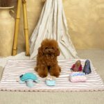 Sillón Salvaterra Orvane Rosa Homologado Para El Coche - Imagen 6