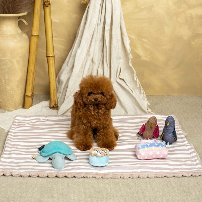 Sillón Salvaterra Orvane Rosa Homologado Para El Coche - Imagen 6